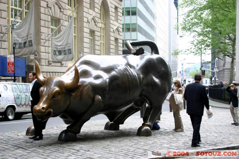 Wall Street Bull
