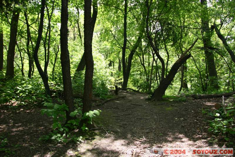 En plein centre de New-York
