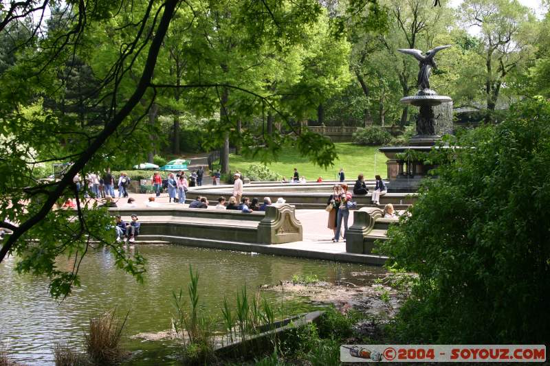 Central Park - The Lake
