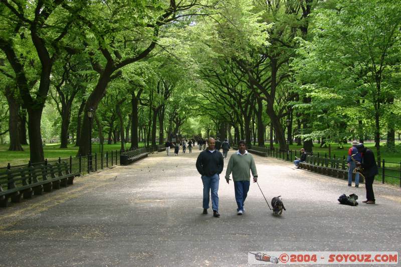 Central Park - The Mall
