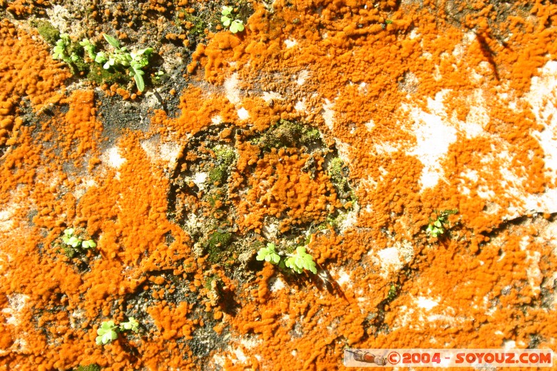 Palenque - Palacio
Mots-clés: Ruines patrimoine unesco