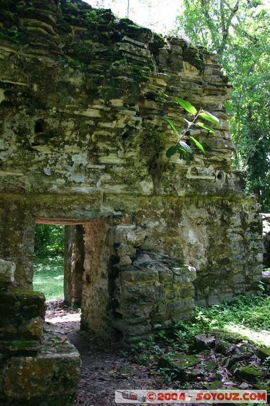 Yaxchilan
Mots-clés: Ruines
