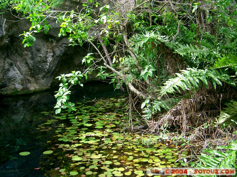 Gran Cenote
