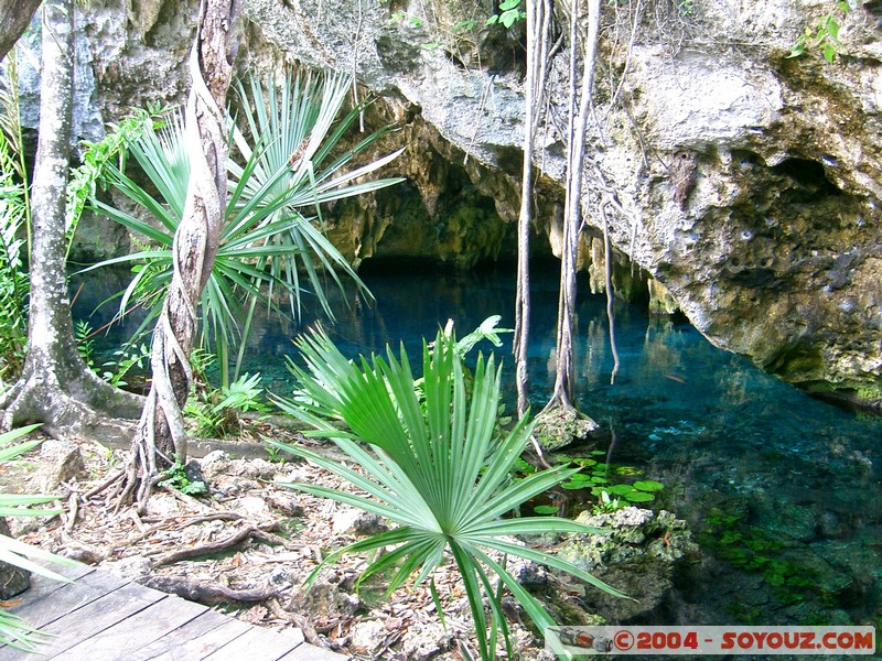 Gran Cenote
