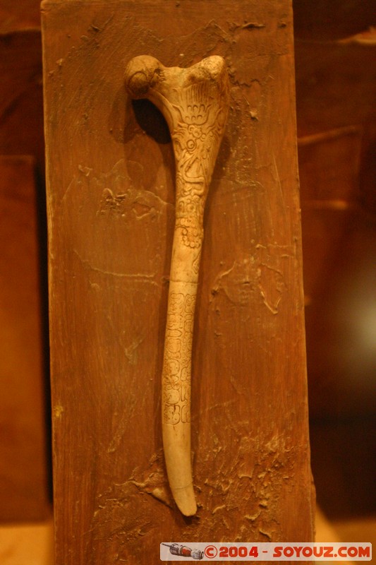 Museo regional de Antropologia
