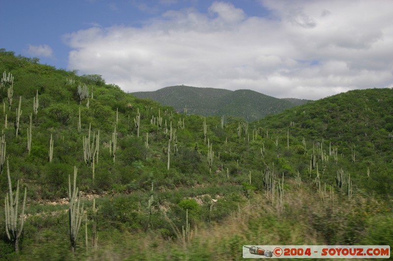 Paysage de la region de Puebla
