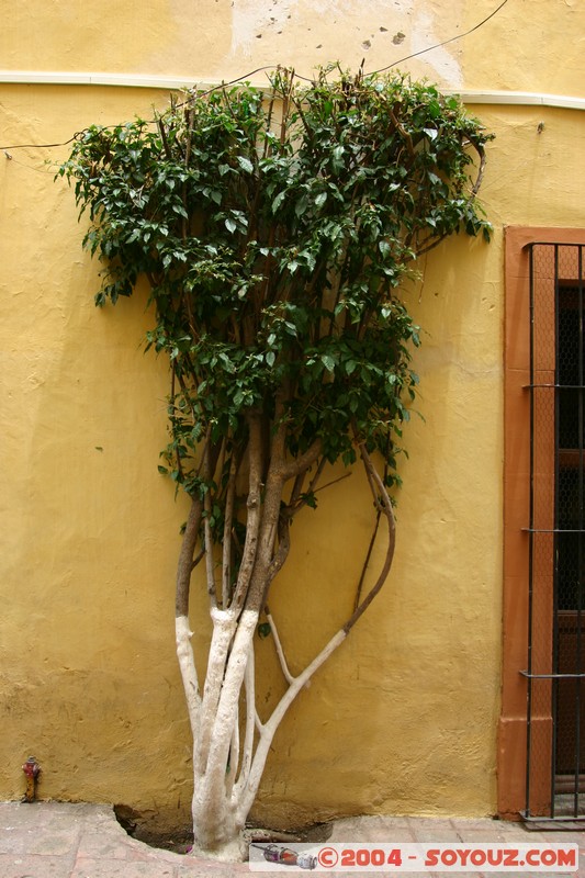 Queretaro
Mots-clés: patrimoine unesco