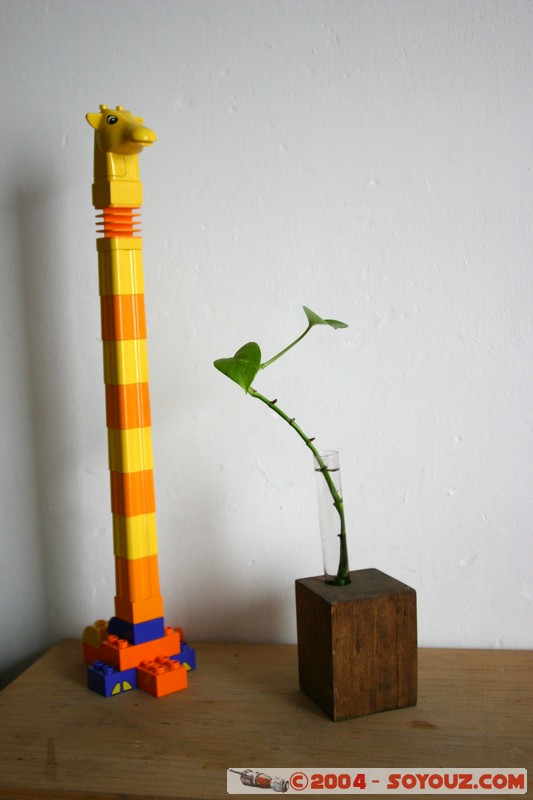 Queretaro - Hostal Jirafa Roja
Mots-clés: Insolite