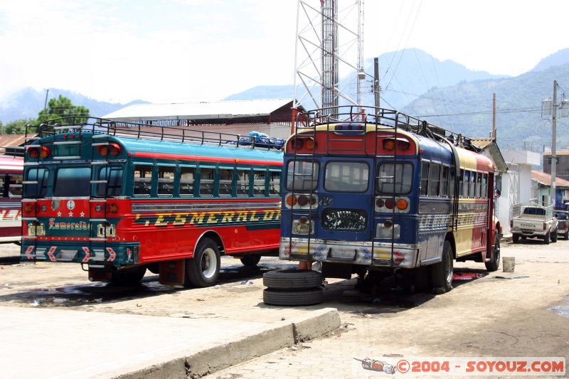 Bus locaux color�s
