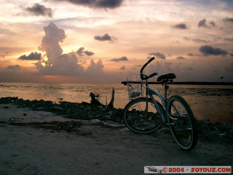 Bike at sunset
