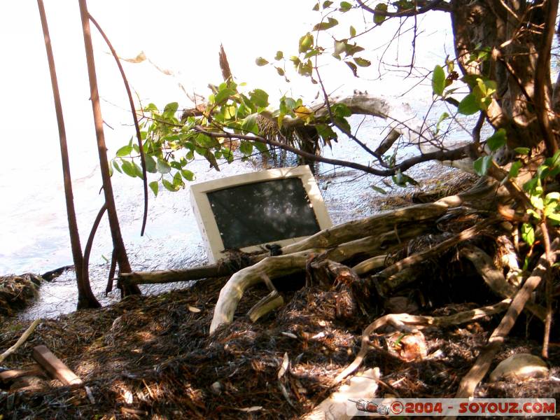 Everywhere there's computer!
