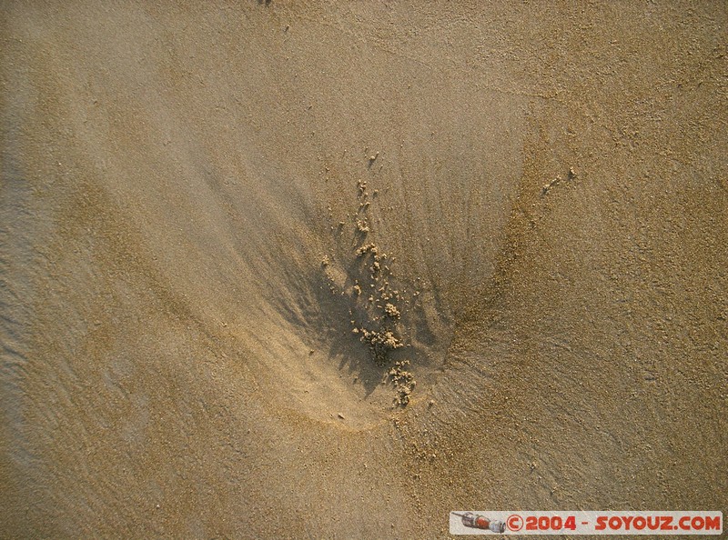 Puerto Lopez
Mots-clés: Ecuador