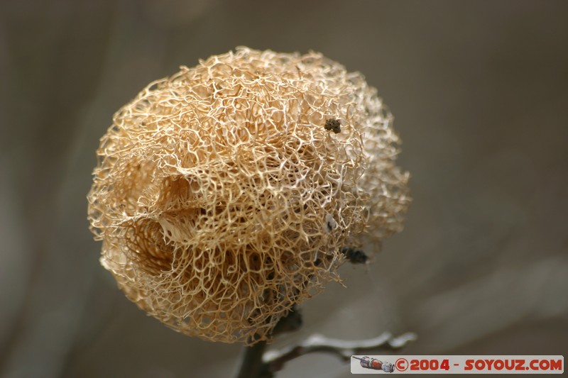 Isla de La Plata
Mots-clés: Ecuador