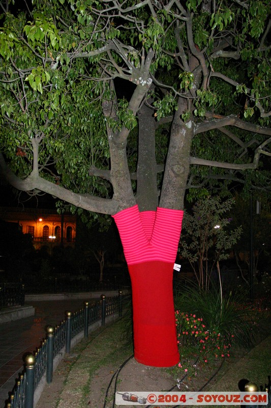 Cuenca - Parque Calderon
Mots-clés: Ecuador Nuit patrimoine unesco