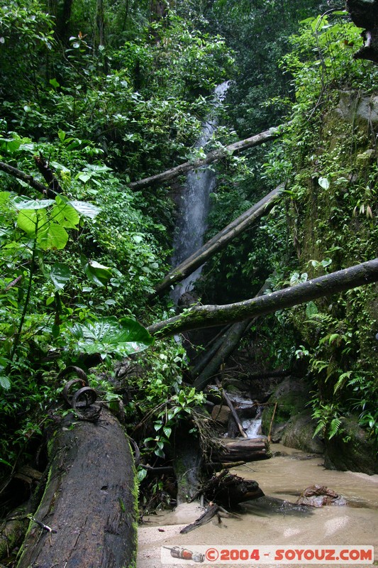 Jungle Trek
Mots-clés: Ecuador cascade
