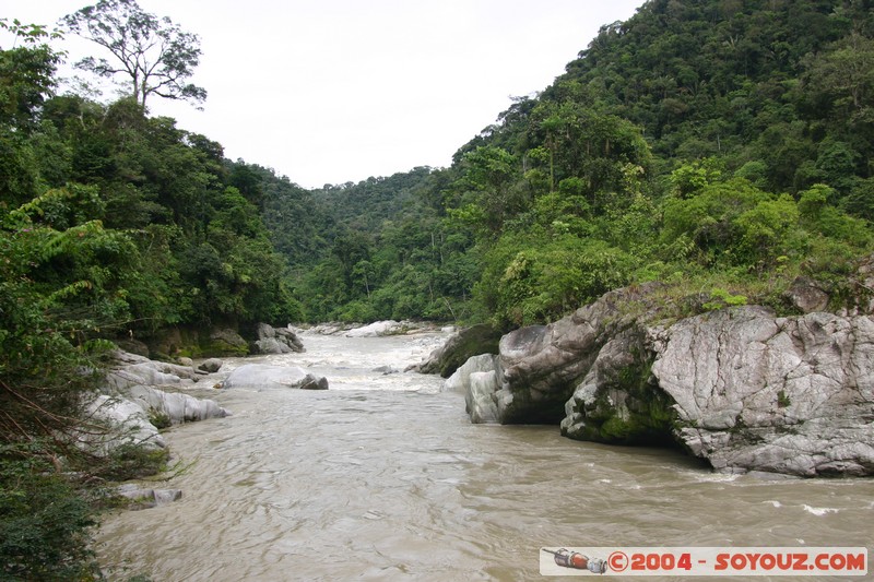 Jungle Trek - Rio Jatunyacu
Mots-clés: Ecuador Riviere