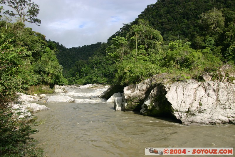 Jungle Trek - Rio Jatunyacu
Mots-clés: Ecuador Riviere