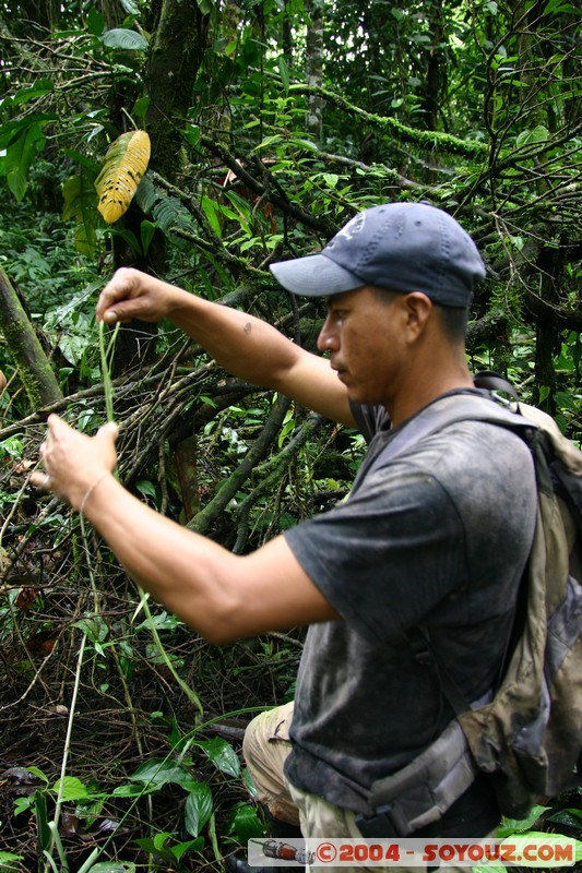 Jungle Trek
Mots-clés: Ecuador