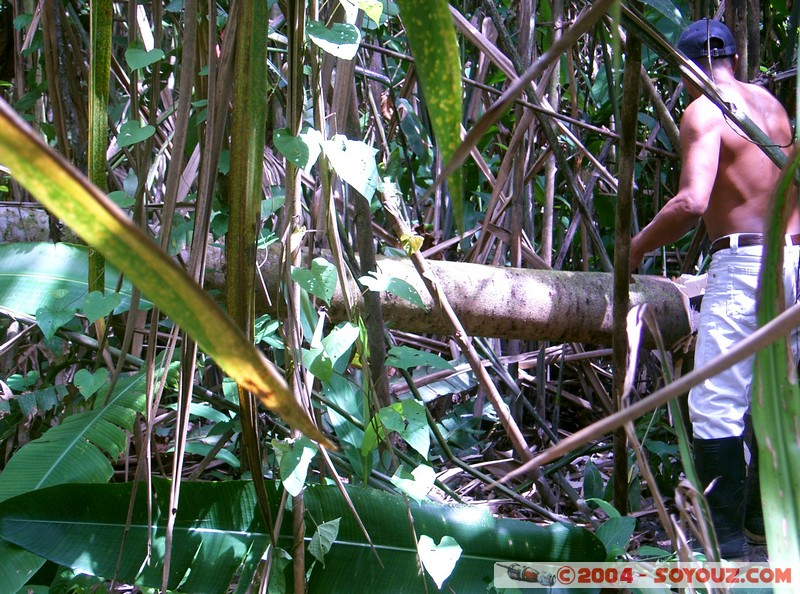 Rio Napo - Construction d'un radeau en balsa
Mots-clés: Ecuador Riviere bateau