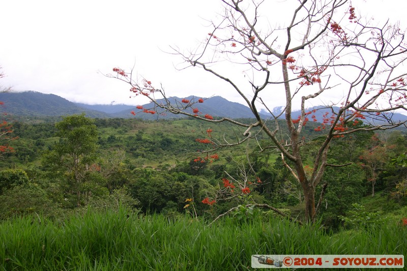 Cavernas Jumandy
Mots-clés: Ecuador grotte