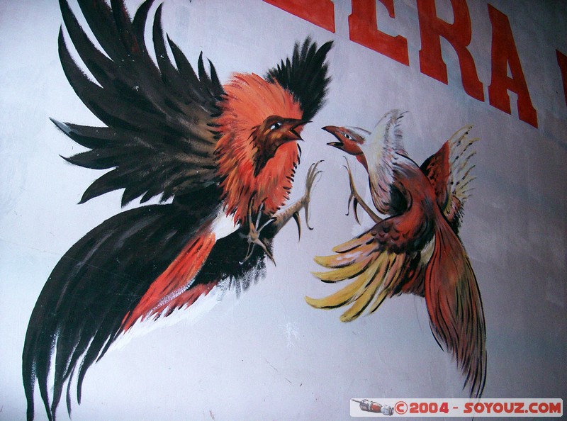 Asociacion de Galleros de Otavalo
Mots-clés: Ecuador animals Poule