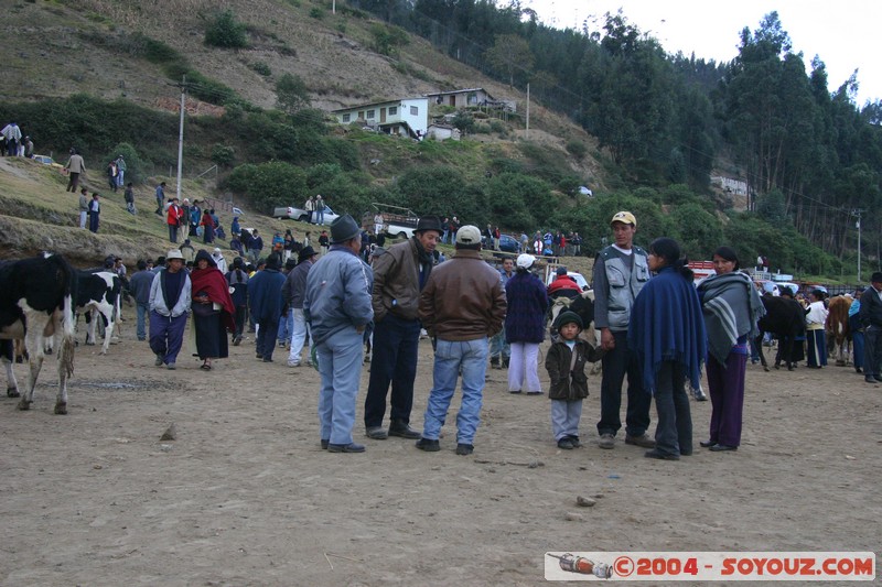 Otavalo - Marche aux bestiaux
Mots-clés: Ecuador Marche personnes
