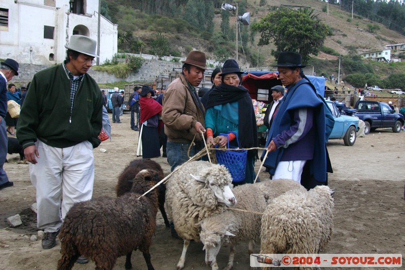 Otavalo - Marche aux bestiaux
Mots-clés: Ecuador Marche animals Mouton personnes