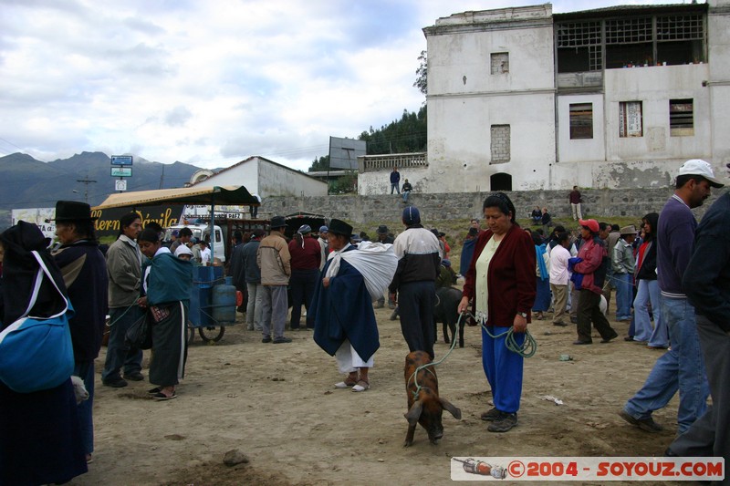 Otavalo - Marche aux bestiaux
Mots-clés: Ecuador Marche cochon personnes