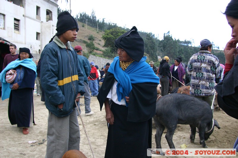 Otavalo - Marche aux bestiaux
Mots-clés: Ecuador Marche animals cochon personnes