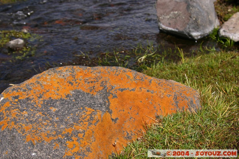 Cotopaxi
Mots-clés: Ecuador volcan Riviere