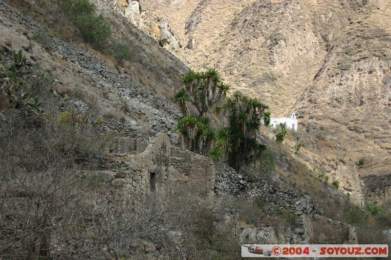 Nariz del Diablo
Mots-clés: Ecuador