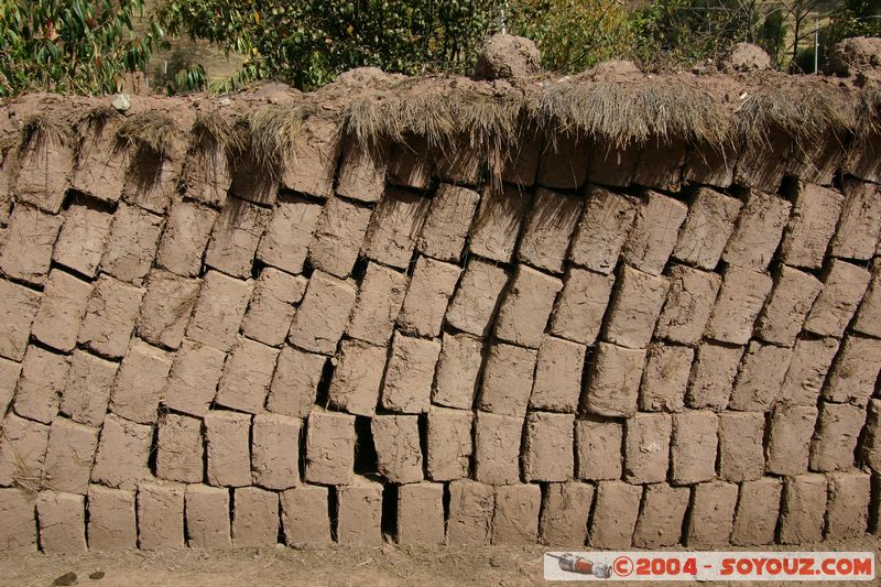Taray
Mots-clés: peru Valle Sagrado de los Incas
