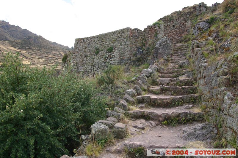 Ciudadela de Pisac
Mots-clés: peru Valle Sagrado de los Incas Ruines Incas