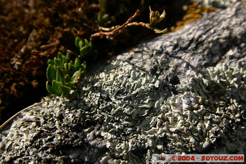 Camino Inca - Soraypampa
Mots-clés: peru Camino Inca Alternativo sunset