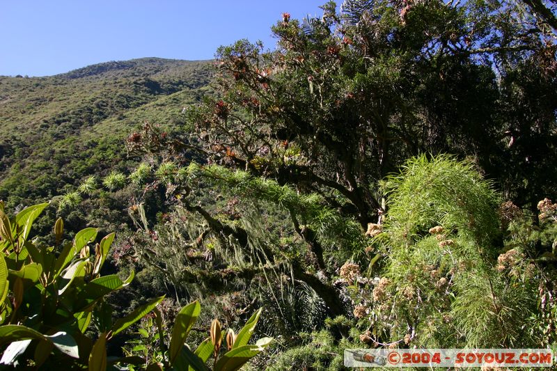 Camino Inca - Aguas Termales
Mots-clés: peru Camino Inca Alternativo