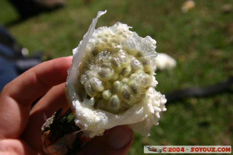 Camino Inca - Lluskamayu - Granadilla
Mots-clés: peru Camino Inca Alternativo fruit