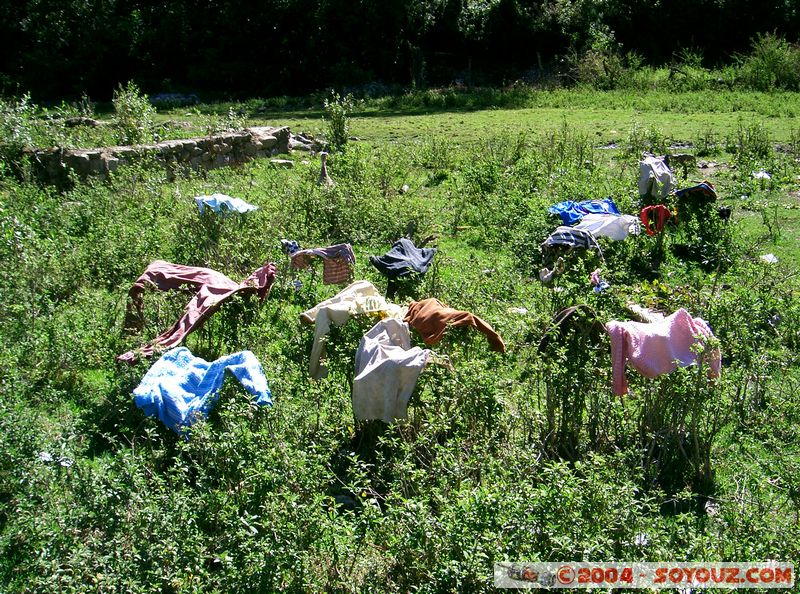 Camino Inca - Sahuayaco - Linge au soleil
Mots-clés: peru Camino Inca Alternativo