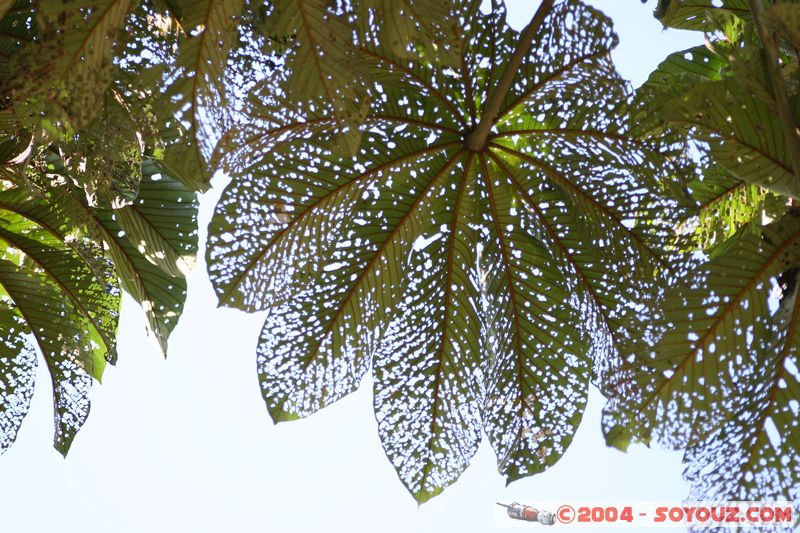 Machu Pichu
Mots-clés: peru Machu Pichu