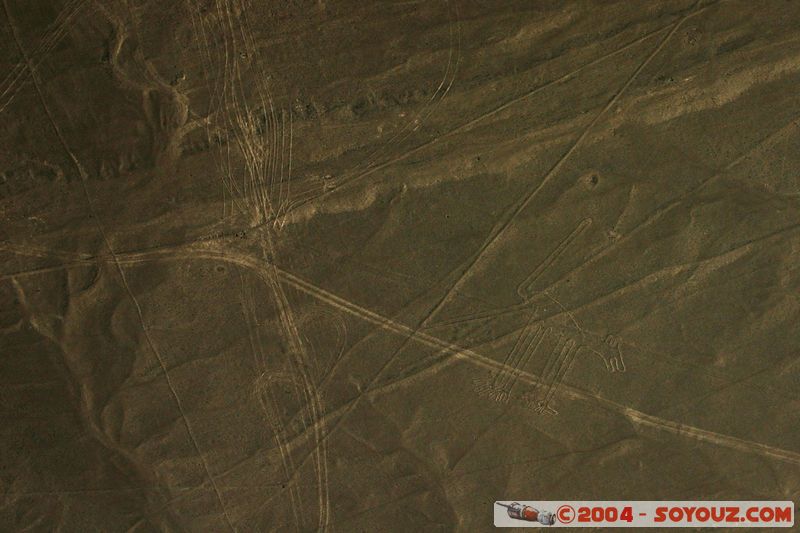 Las lineas de Nazca - perro (chien)
Mots-clés: peru Nasca patrimoine unesco Ruines