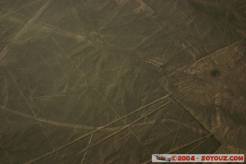 Las lineas de Nazca - condor
Mots-clés: peru Nasca patrimoine unesco Ruines