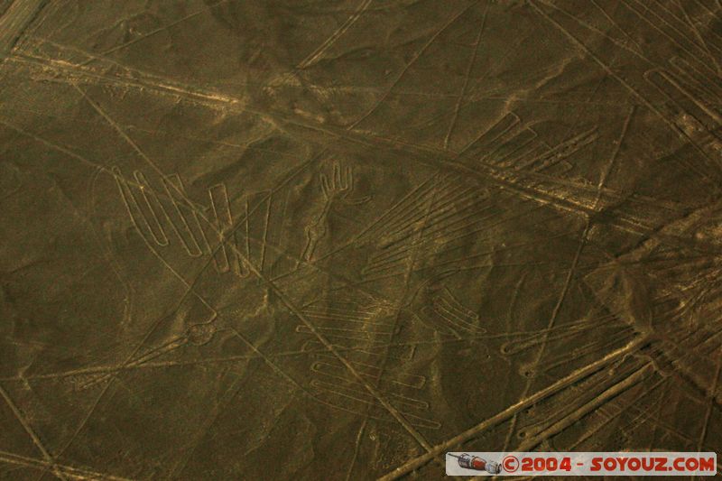 Las lineas de Nazca - condor
Mots-clés: peru Nasca patrimoine unesco Ruines