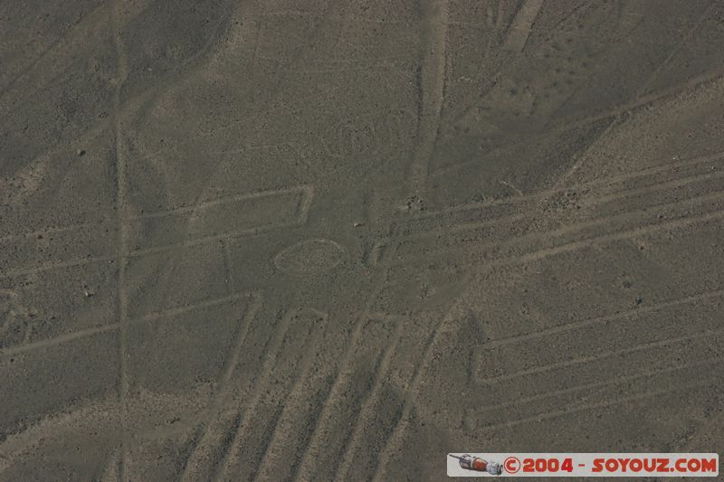 Las lineas de Nazca - flor (fleur)
Mots-clés: peru Nasca patrimoine unesco Ruines