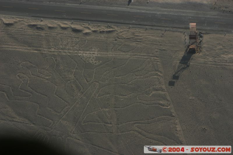 Las lineas de Nazca - arbol
Mots-clés: peru Nasca patrimoine unesco Ruines