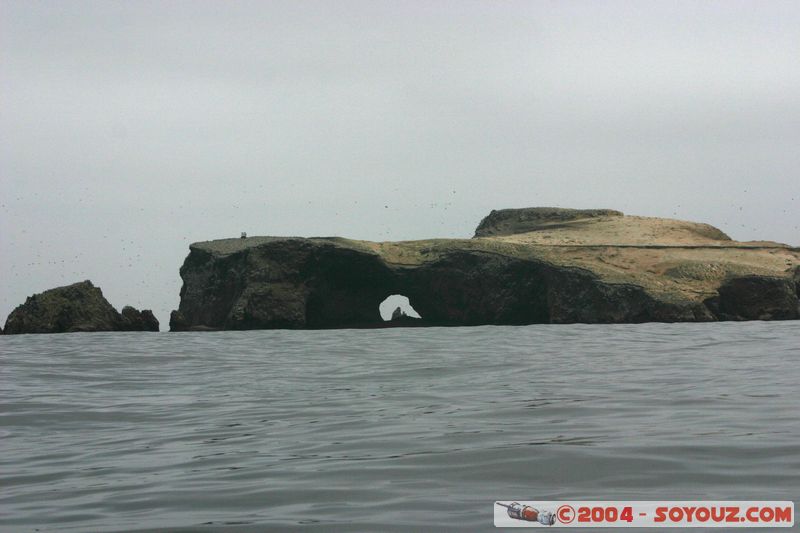 Islas Ballestas
Mots-clés: peru