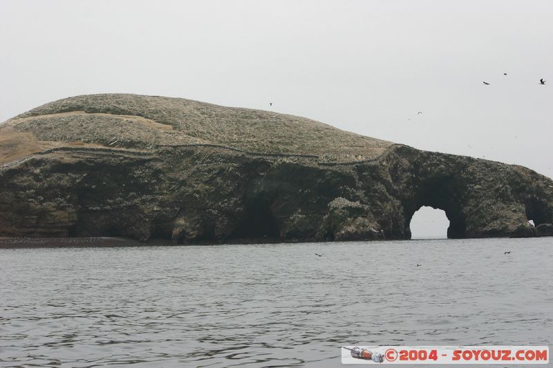 Islas Ballestas
Mots-clés: peru