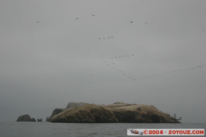 Islas Ballestas
Mots-clés: peru