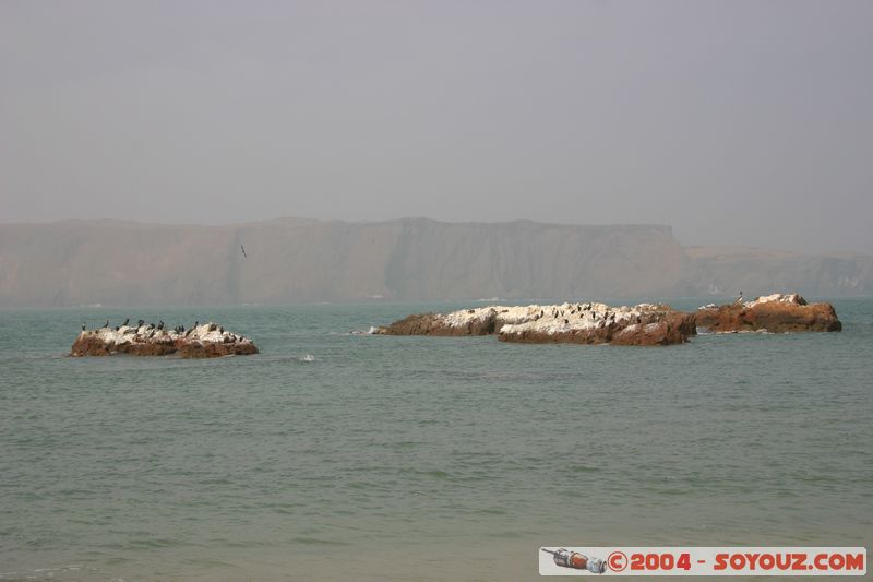 Peninsula de Paracas
Mots-clés: peru mer