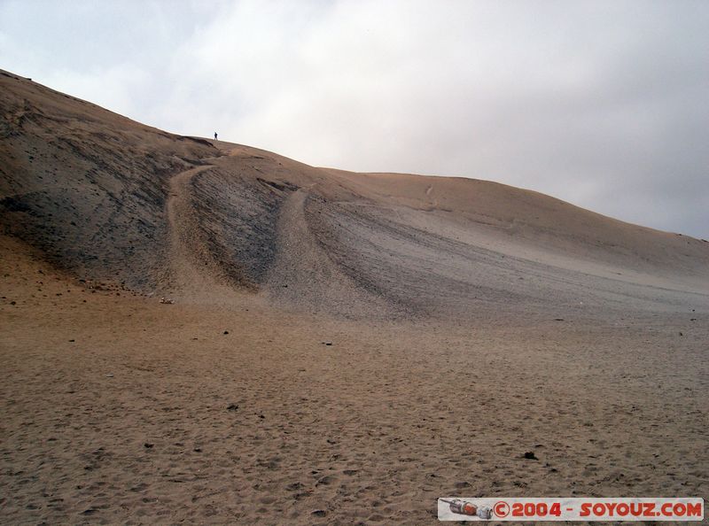Peninsula de Paracas
Mots-clés: peru Desert