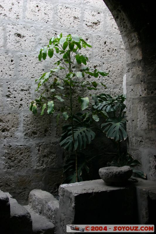 Arequipa - Monasterio de Santa Catalina
Mots-clés: peru Eglise Monastere