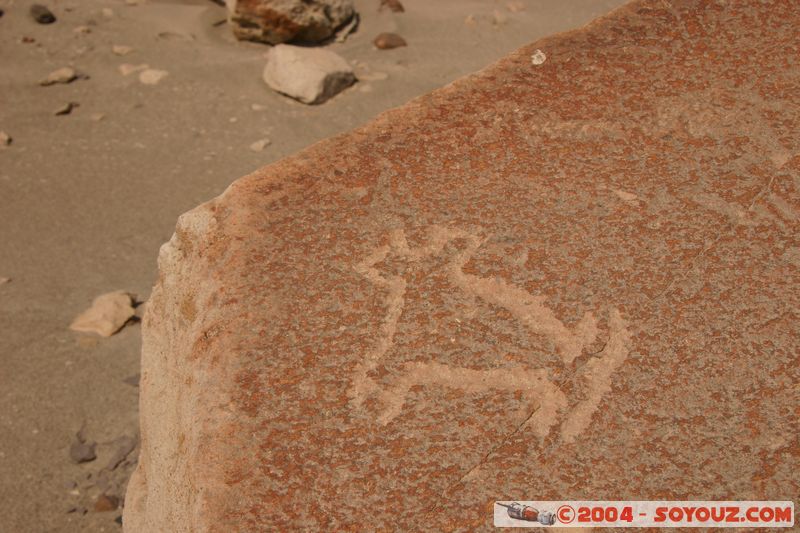 Toro Muerto - Petroglyphes
Mots-clés: peru Petroglyphes